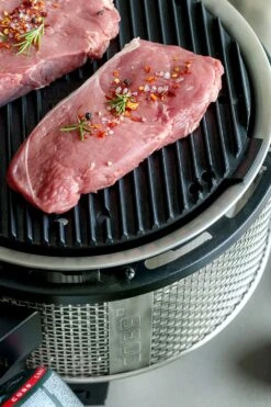 Cobb Grill Premier Gas Deluxe 2.0 - Gasgrill - Kartuschenanschluss - Modell 2023 -Bbq Discounter Cobb Grasgrill Premier Deluxe 2 Griddle Grillplatte