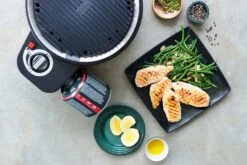 Cobb Grill Premier Gas Deluxe 2.0 - Gasgrill - Kartuschenanschluss - Modell 2023 -Bbq Discounter Cobb Grill Premier Gas Deluxe 2 0 Grillplatte