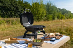 Napoleon TravelQ 240 Kompakt Gasgrill Schwarz- Modell 2023 -Bbq Discounter Napoleon TravelQ TQ240 Kompaktgrill