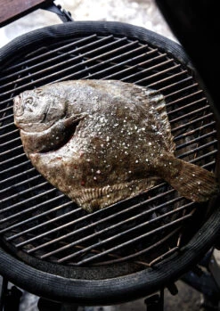 The Bastard Keramikgrill Classic Medium - Complete - Schwarz Glänzend - Modell 2023 -Bbq Discounter The Bastard Medium Keramikgrill Grillflaeche 1