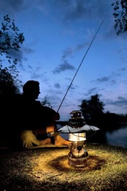 Petromax Petroleumlampe HK500/829 Messing -Bbq Discounter petromax starklichtlampe hk500 px5m 14