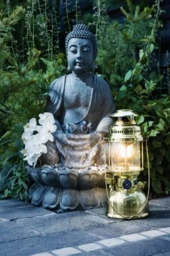 Petromax Petroleumlampe HK500/829 Messing -Bbq Discounter petromax starklichtlampe hk500 px5m 16